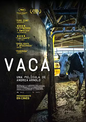 Pelicula Vaca VOSE, documental, director Andrea Arnold